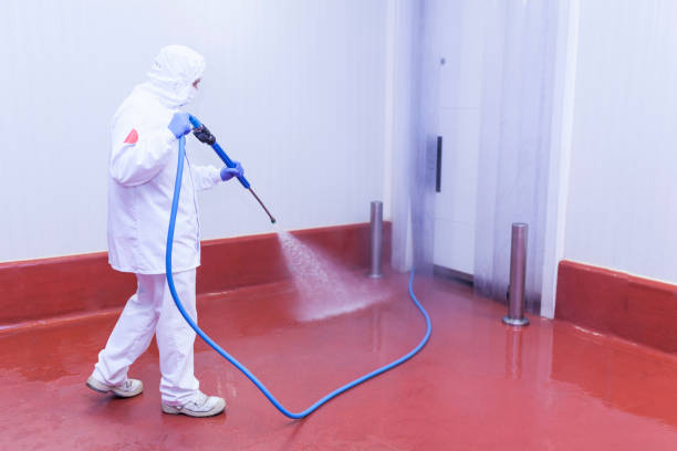 Best Soft Washing  in Madill, OK